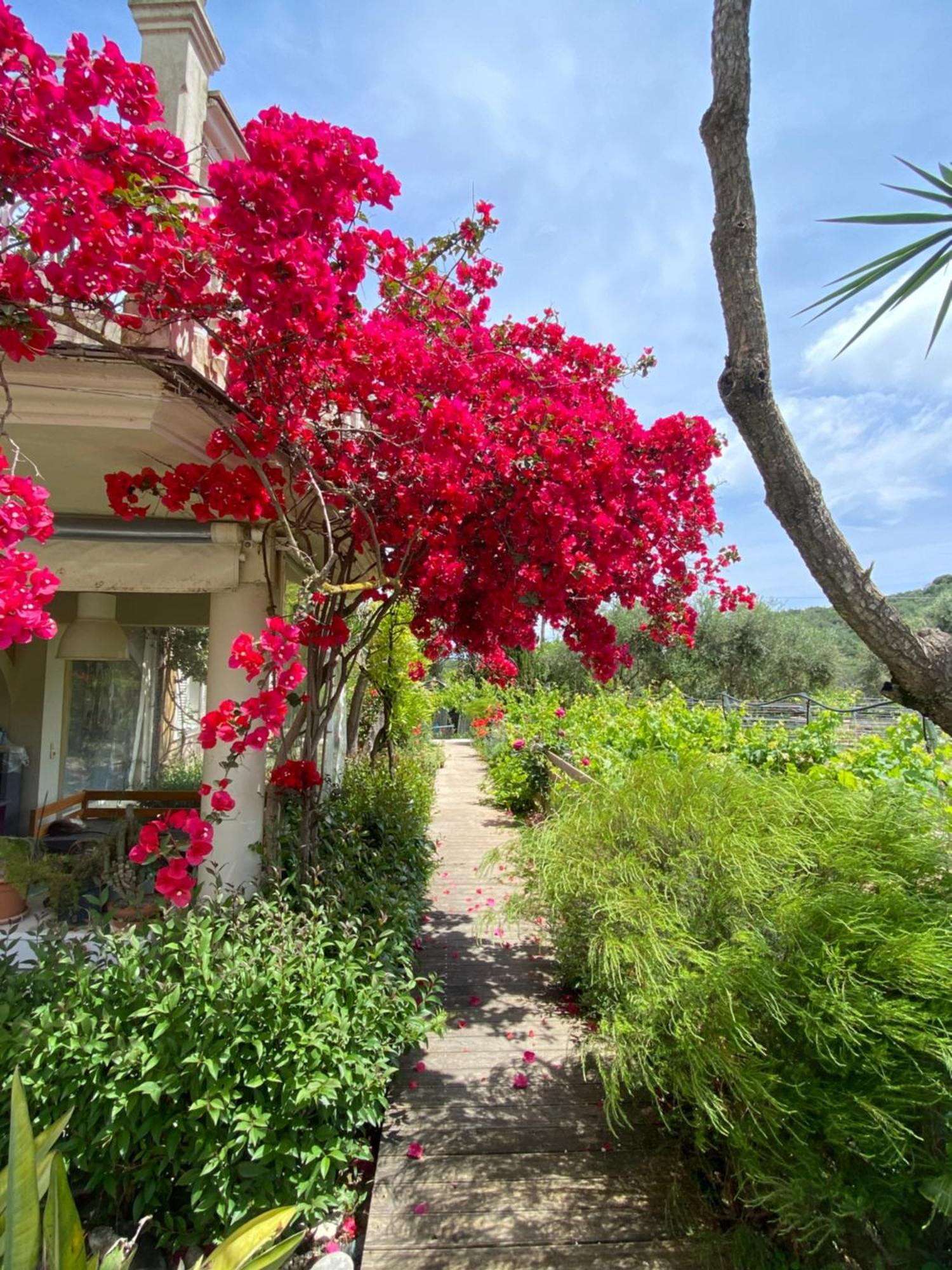Kali Zoi -B&B Zakynthos Amoudi Exterior foto